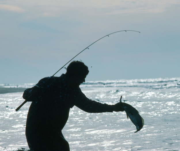 North Carolina’s Commercial and Recreational Anglers Voice Growing Concerns To Marine Fishery Commission