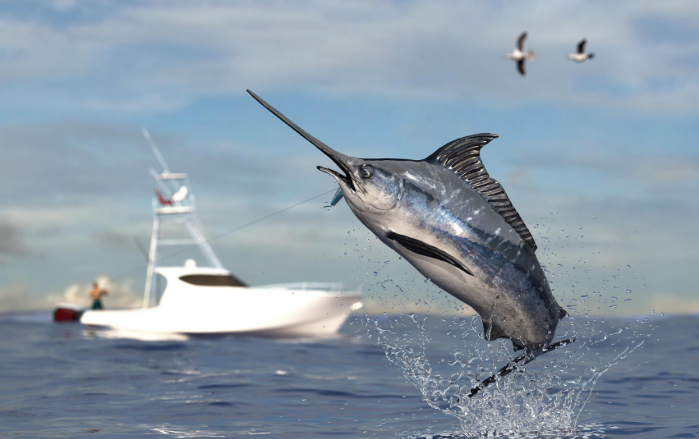 An Offshore Fishing Journey..More Than Catching (Part 1) - Saltwater  Angler