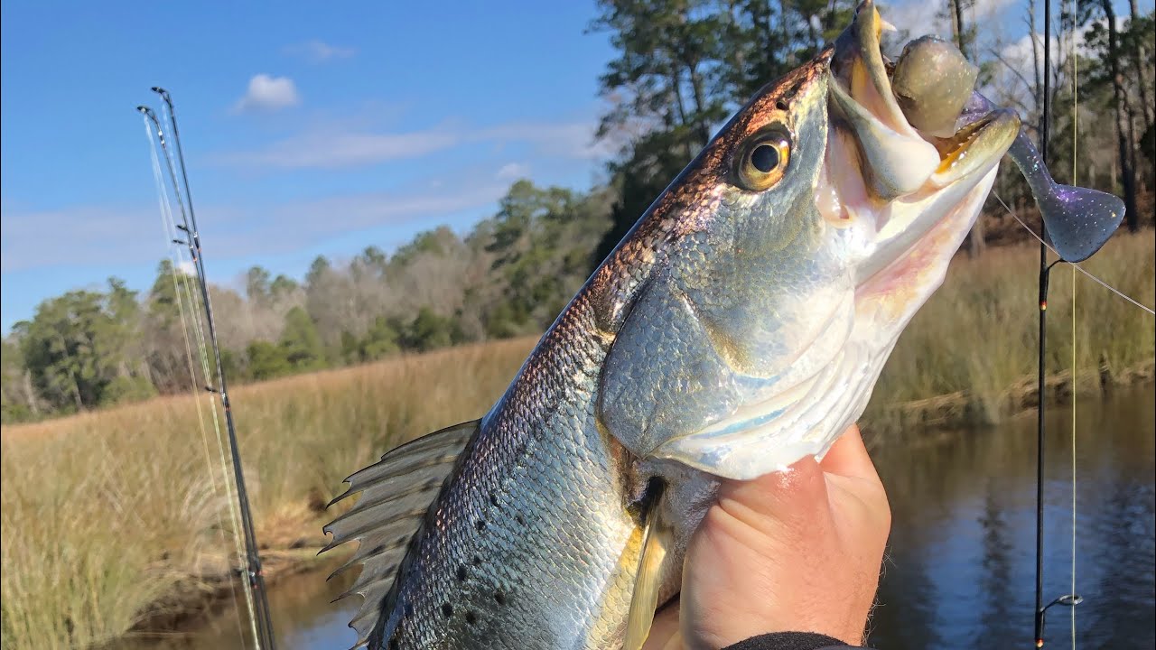 Redfishing Late Winter Tactics - Saltwater Angler