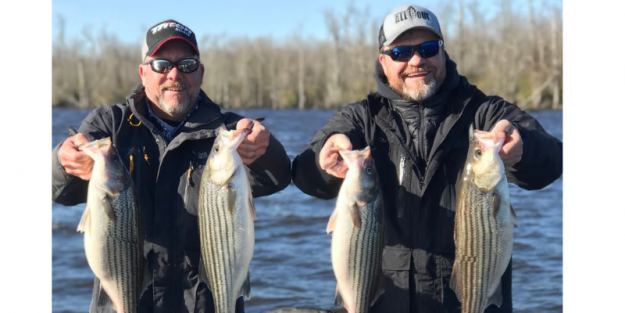 Albemarle Sound Stripers – Carolina ALL OUT