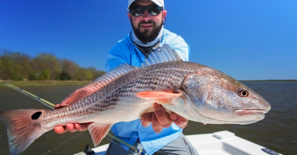 Simple solution For Firing Up A Slow Redfish Bite - Saltwater Angler