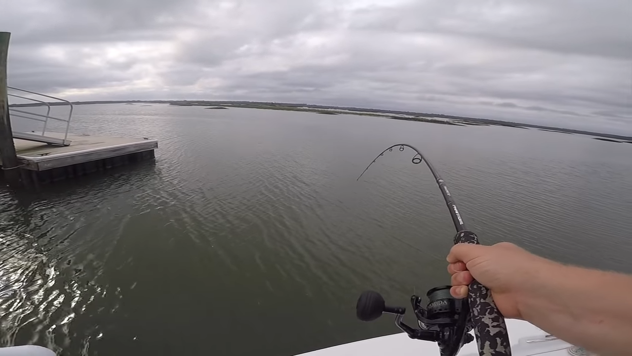Catching Inshore Giant Redfish Near Docks In Charleston South Carolina -  Saltwater Angler