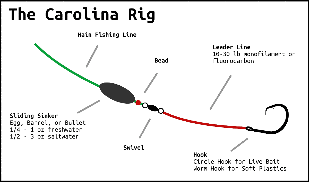 carolina-rig-diagram - Saltwater Angler