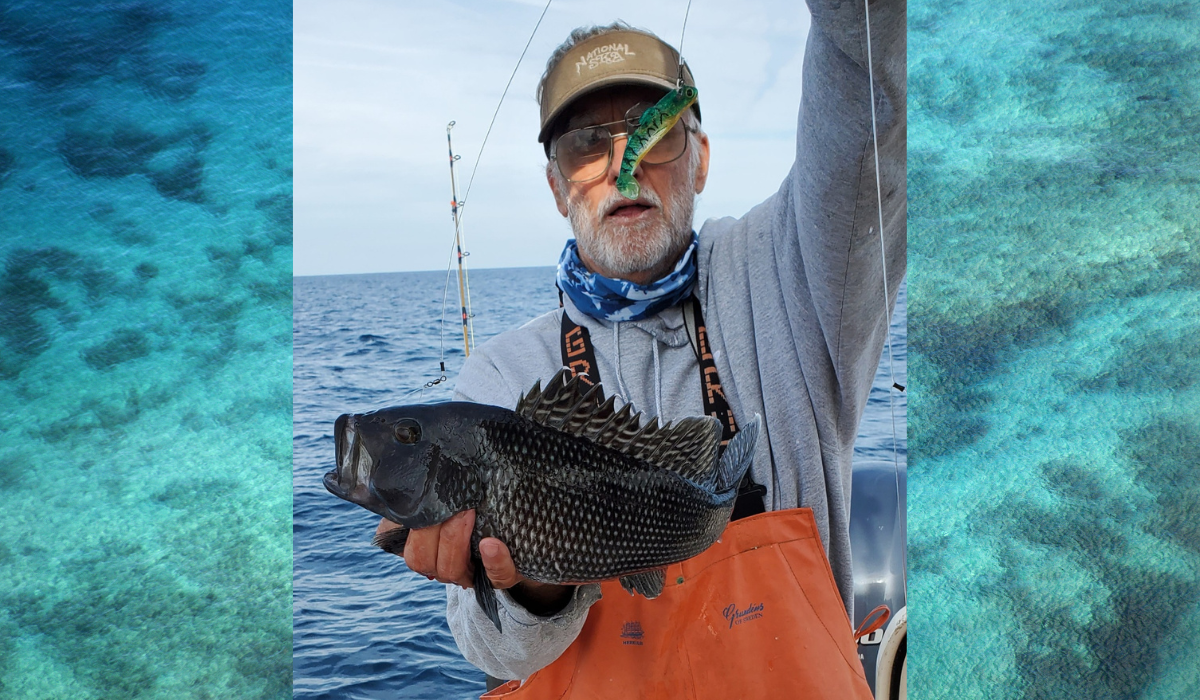 Black Bass Fishing..Location Location Location - Saltwater Angler