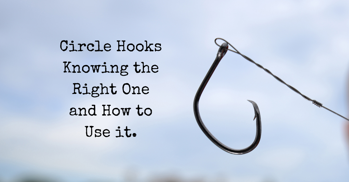 Circle Hooks.What, When, Where and Why? - Saltwater Angler