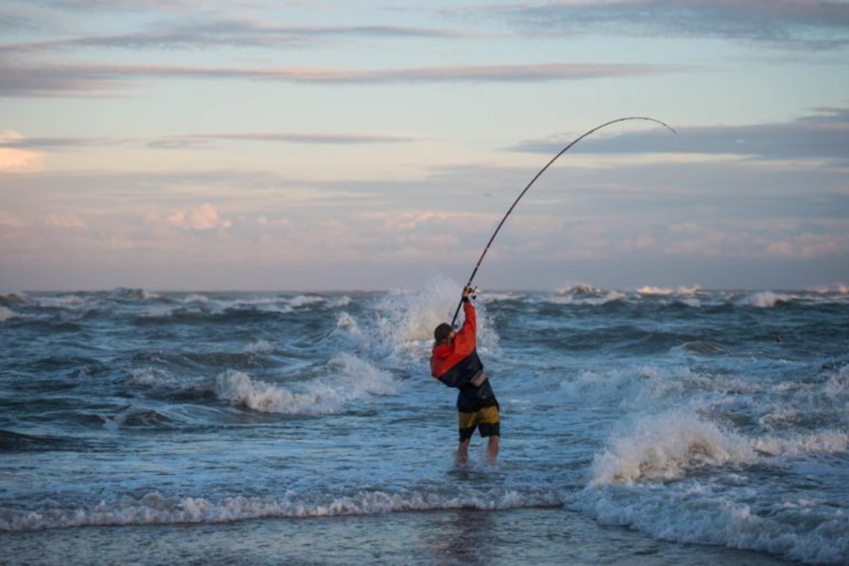 Spring Is Here As The Outer Banks Redfishing Begins - Saltwater Angler