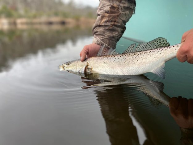 Catching Big Speckled Trout Means Big Planning